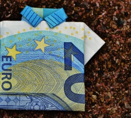 ✅ Afficher les options